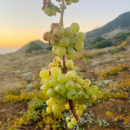 Waterfront Holiday home Siba